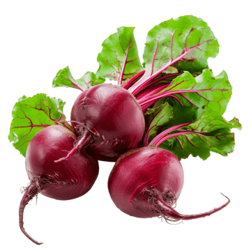 Beterraba