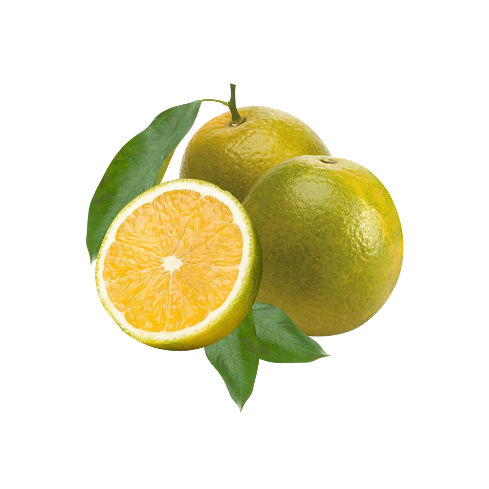 Laranja pera