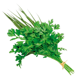 Cheiro verde