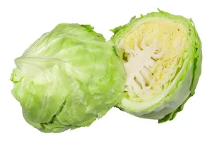 Repolho verde