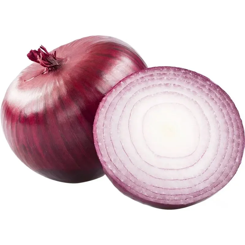 Cebola