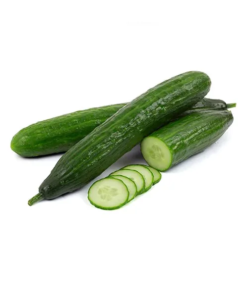 Pepino Japonês
